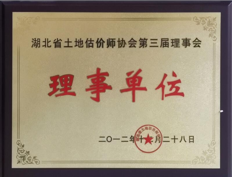 湖北省土地估价师协会第三届理事会理事单位